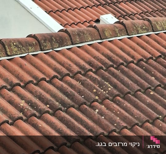 רעפים אדומים על גג עם כתמי טחב